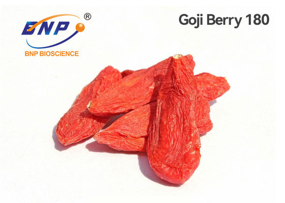 350 Tane Kırmızı Goji Berry GMP Kurutulmuş Lycium Barbarum Wolfberry