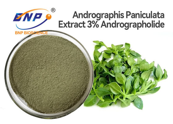%3 Andrographolide Doğal Antiviral Takviyeler Andrographis Paniculata Yaprak Özü Tozu