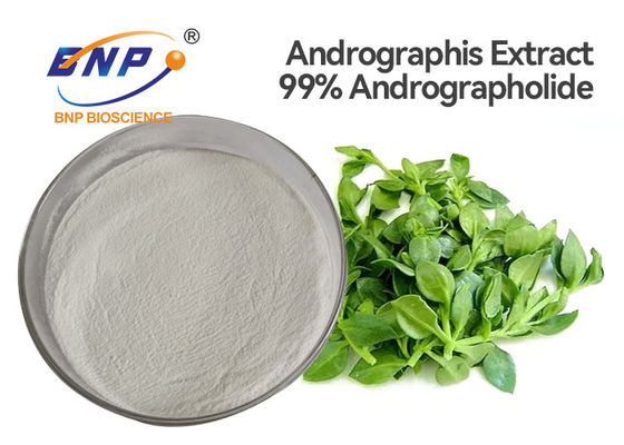 %99 Andrographolide Doğal Antibakteriyel Takviyeler Andrographis Paniculata Burm F Nees