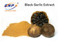HPLC Testi Siyah Sarımsak Özü %0.1 SAC Allium Sativum L.