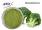 Açık Yeşil Organik Brokoli Filiz Tozu Gıda Sınıfı 80 Mesh