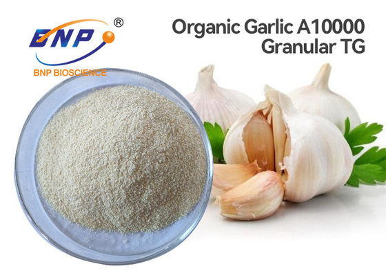 %1 Allicin Organik Sarımsak Özü A10000 Granüler Allium Sativum L.