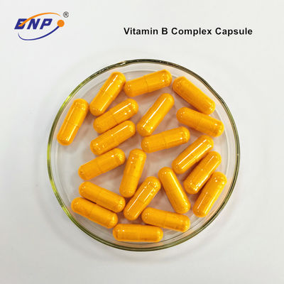 GMP OEM Ek B Kompleks Vitamin B12 Kapsül 600mg
