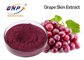 Kırmızı Üzüm Vitis Vinifera Çekirdeği Özü Tozu HPLC Resveratrol 5%