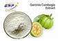 Beyaz İnce Toz Doğal Bitki Özleri Hidroksisitrik Asit %50 %60 Garcinia Cambogia Özü