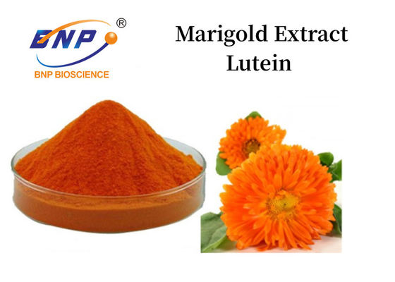 Kadife Çiçeği Özü Lutein Tozu %5 - %90 Turuncu Sarı Toz
